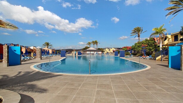 Una piscina con sillas de descanso, palmeras y un cielo azul despejado.