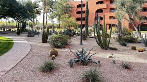 A landscaped garden with various cacti and desert plants, a paved walkway, and a multi-story building with balconies in the background. - Casa Juanita - Great view of the golf course. (Phoenix)