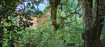 Casa familiar | 2 dormitorios, escritorio, wifi