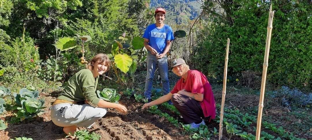 Three people in a garden with plants and bamboo poles.