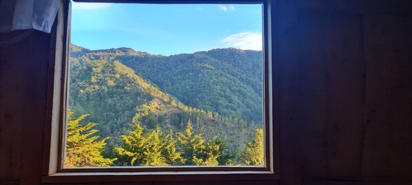 2 chambres, bureau, Wi-Fi