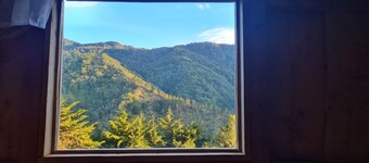 Macho Mora Mountain Lodge