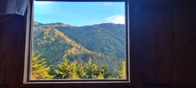 Macho Mora Mountain Lodge