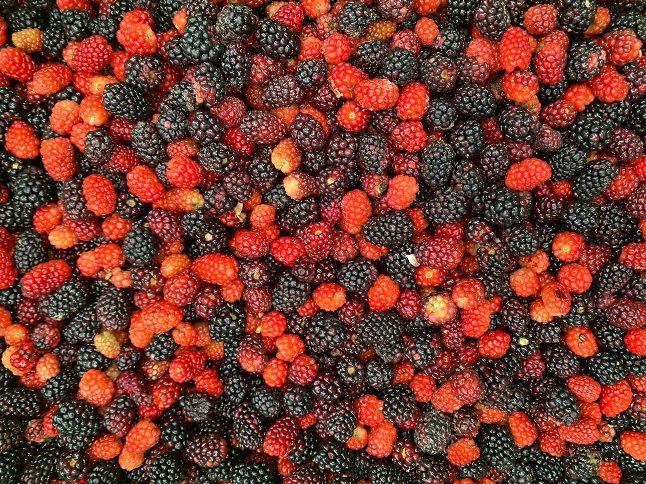 Een close-up van een mix bessen, waaronder aardbeien en bramen.