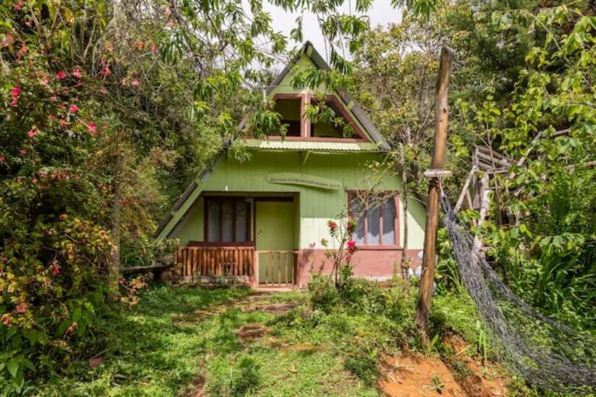 A small, single-story house surrounded by dense vegetation.