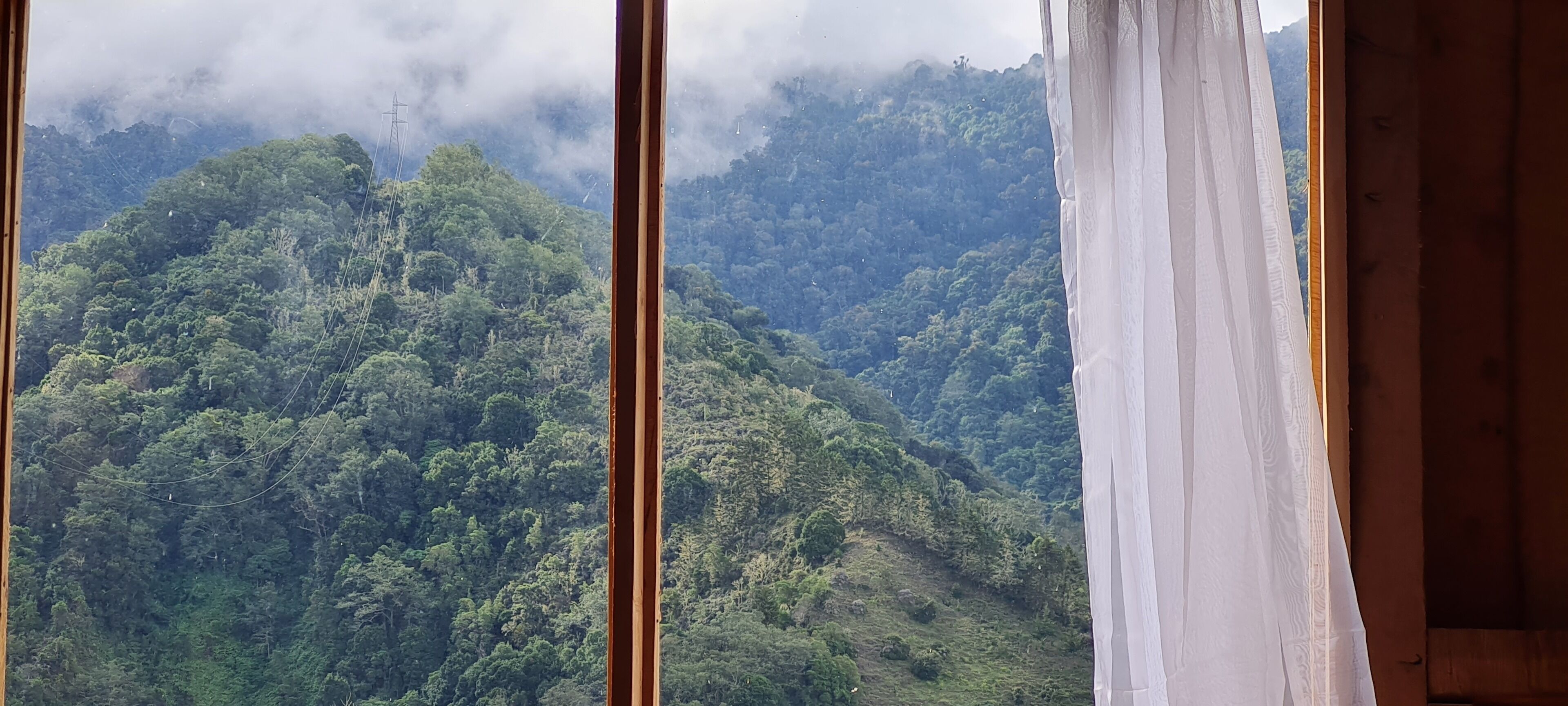 A view through a window with a curtain, revealing a lush green forested mountain.