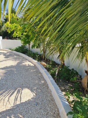 Overnattingsstedets uteområder