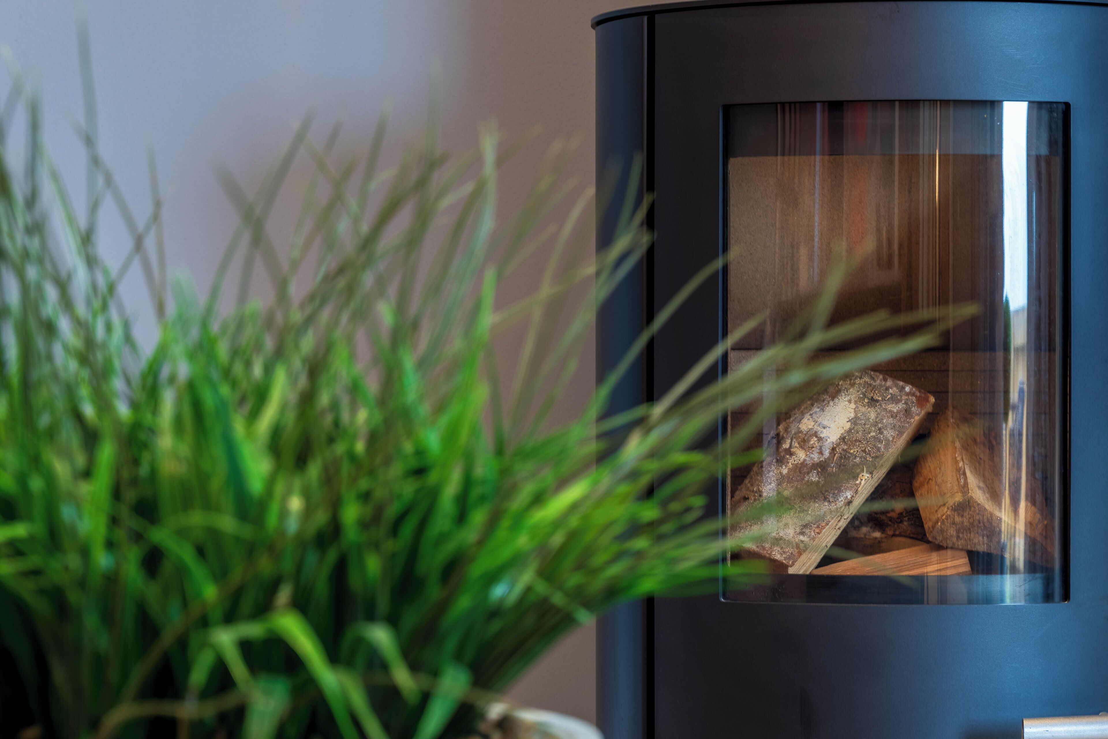 Wood Burning Stove (2)
