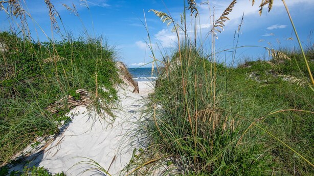 A sandy path leading to a beach with tall grasses and a clear blue sky. - Oceans 13 Unit B (St. Augustine)