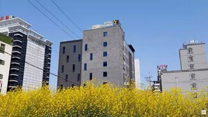 A hotel named 'Hotel November' with a modern design, surrounded by other buildings and a field of yellow flowers. - Seosan November Hotel (Seosan)
