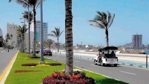 Camino bordeado de palmeras y un carrito de golf a la derecha.