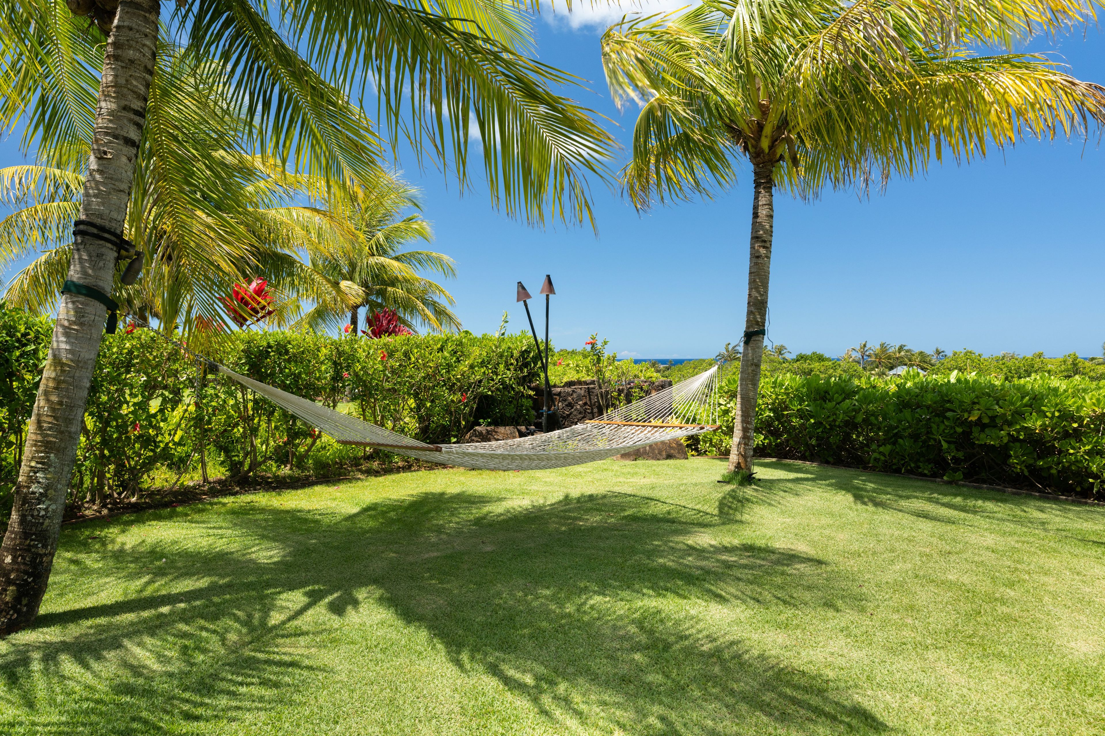 A hammock in a lush garden with palm trees and a view of the ocean.