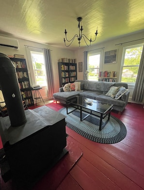 Smart TV, fireplace, books
