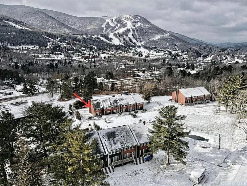 Hunter condo - 5min to ski area