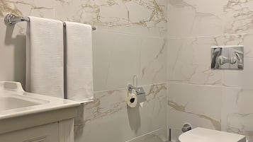 Ducha, cabezal de ducha tipo lluvia, secador de pelo y zapatillas