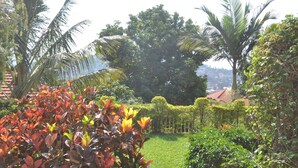 A lush garden with various plants and trees, including palm trees and neatly trimmed hedges. - Calm Suites Kampala (Kampala)