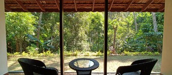 Immerse in nature's beauty at Eden Thottam Homestay.
