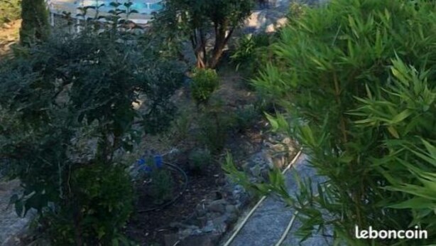 A villa with a swimming pool, surrounded by lush greenery and a mountainous backdrop.