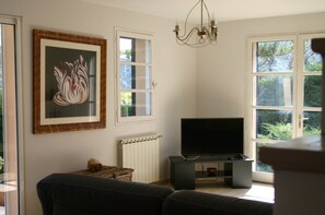 Una televisión, un reproductor de DVD, una mesa de tenis de mesa, libros