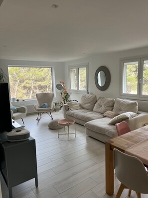 Smart-tv, bordsfotboll och ett bordtennisbord