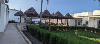 Mafia dream hotel