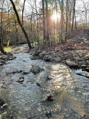 A clear stream with rocks and sunlight filtering through trees.