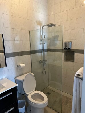 Ducha, secador de pelo, toallas y jabón