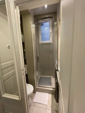Hair dryer, towels, soap, toilet paper - Typical Parisian Appartement (Paris)