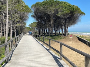 Lägenhet - 1 sovrum - balkong - havsutsikt | Strand
