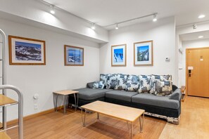 TV, DVD player, ping pong