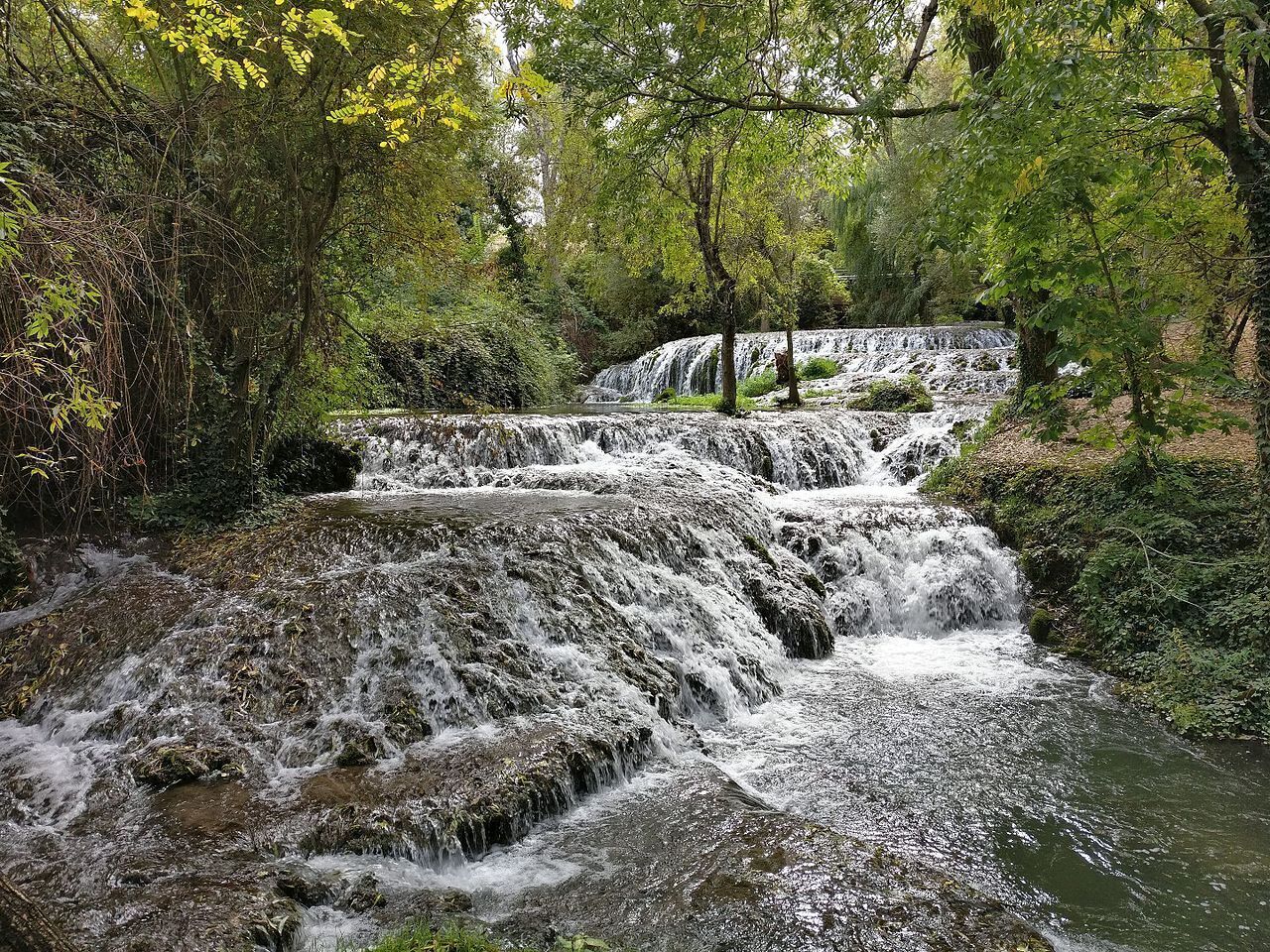 Une cascade d’eau qui dévale des rochers dans une zone boisée.