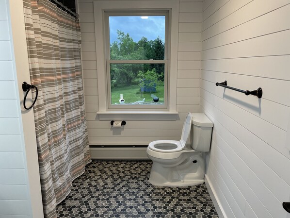 Regadera, bidet, toallas, jabón 