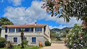 A two-story stone house with a red-tiled roof, a stone pathway leading to the entrance, and a garden with various plants and flowers. - Rena Bianca, 25 m2, 6 min walk to the beach! (Coggia)