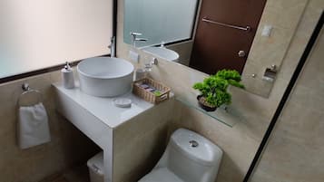 Regadera, secadora de cabello, toallas, shampoo