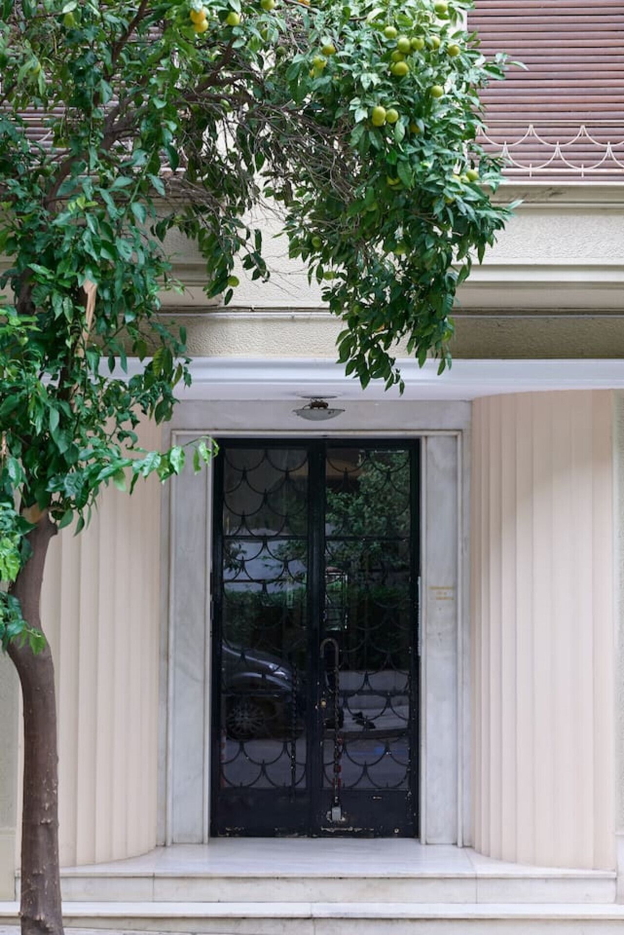 Une entrée d’immeuble avec une porte noire, un petit arbre aux feuilles vertes et un portail en métal.