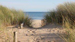 Un sentier de sable qui longe la plage et mène à la mer, bordé d’herbes hautes.