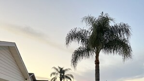 A residential street with houses, a white picket fence, and a palm tree. - 2 bdrm/2bath Patio Villa (The Villages)