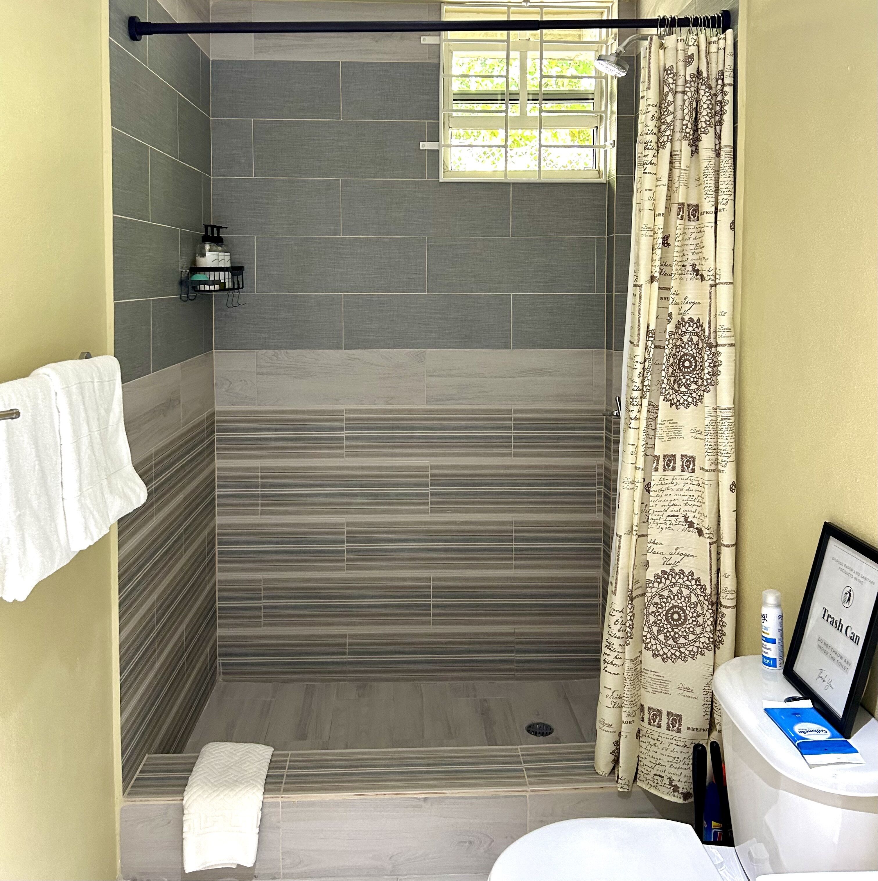 Hair dryer, towels, soap, shampoo