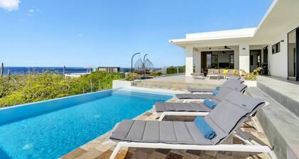 Beautiful villa with infinity pool and gorgeous ocean view. Perfect for divers!