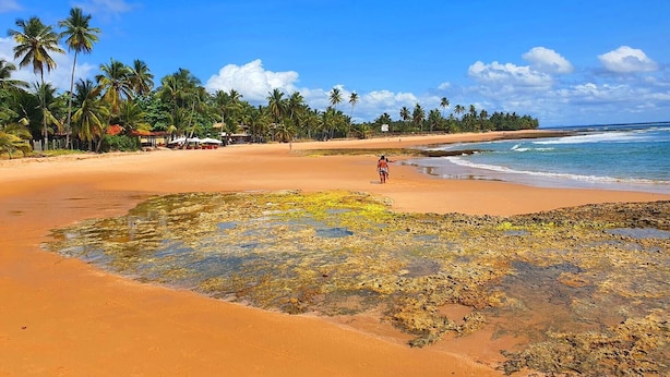 A beach with clear skies, palm trees, and a person walking. - Pousada Costa Azul (Maraú)
