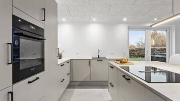 Fridge, microwave, stovetop, dishwasher