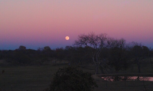 淋浴设施、吹风机、毛巾、肥皂