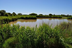 Unclassified image, 2 of 9, button - Haus Ruhewinkel 2 - Bungalow Ruhewinkel 2 (Alkersum)