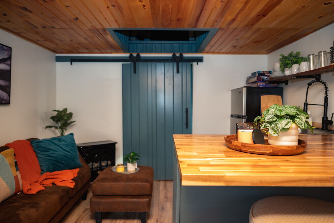 Smart TV, fireplace, books, offices