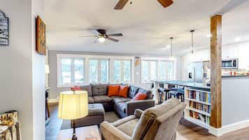 Smart TV, fireplace, DVD player, books