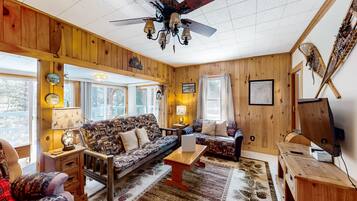 Televisión, chimenea, reproductor de DVD y libros