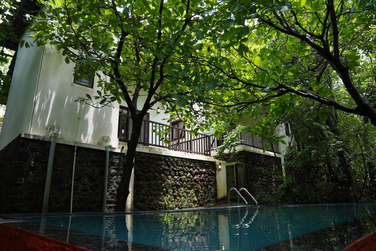 A swimming pool with a stone wall and a tree in the foreground.
