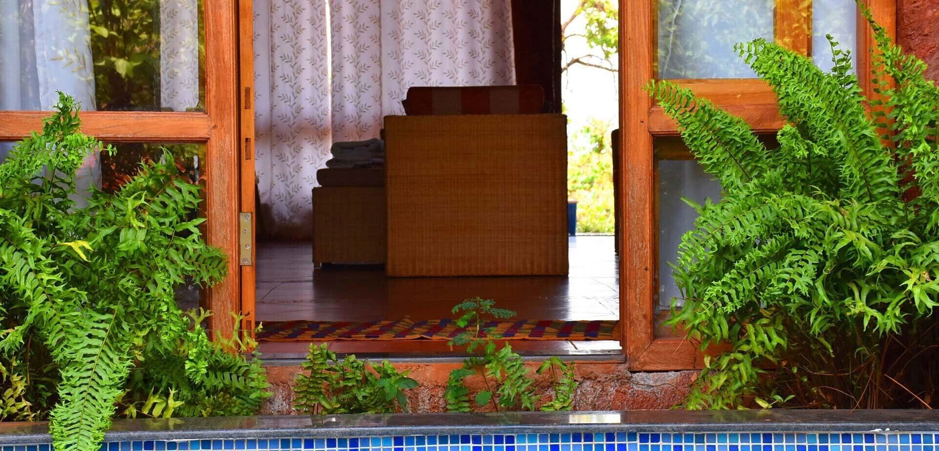 A wooden staircase leading to a room with a patterned rug, surrounded by lush green plants.