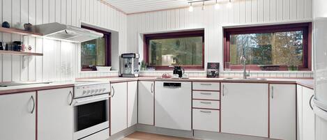 Fridge, stovetop, dishwasher, coffee/tea maker