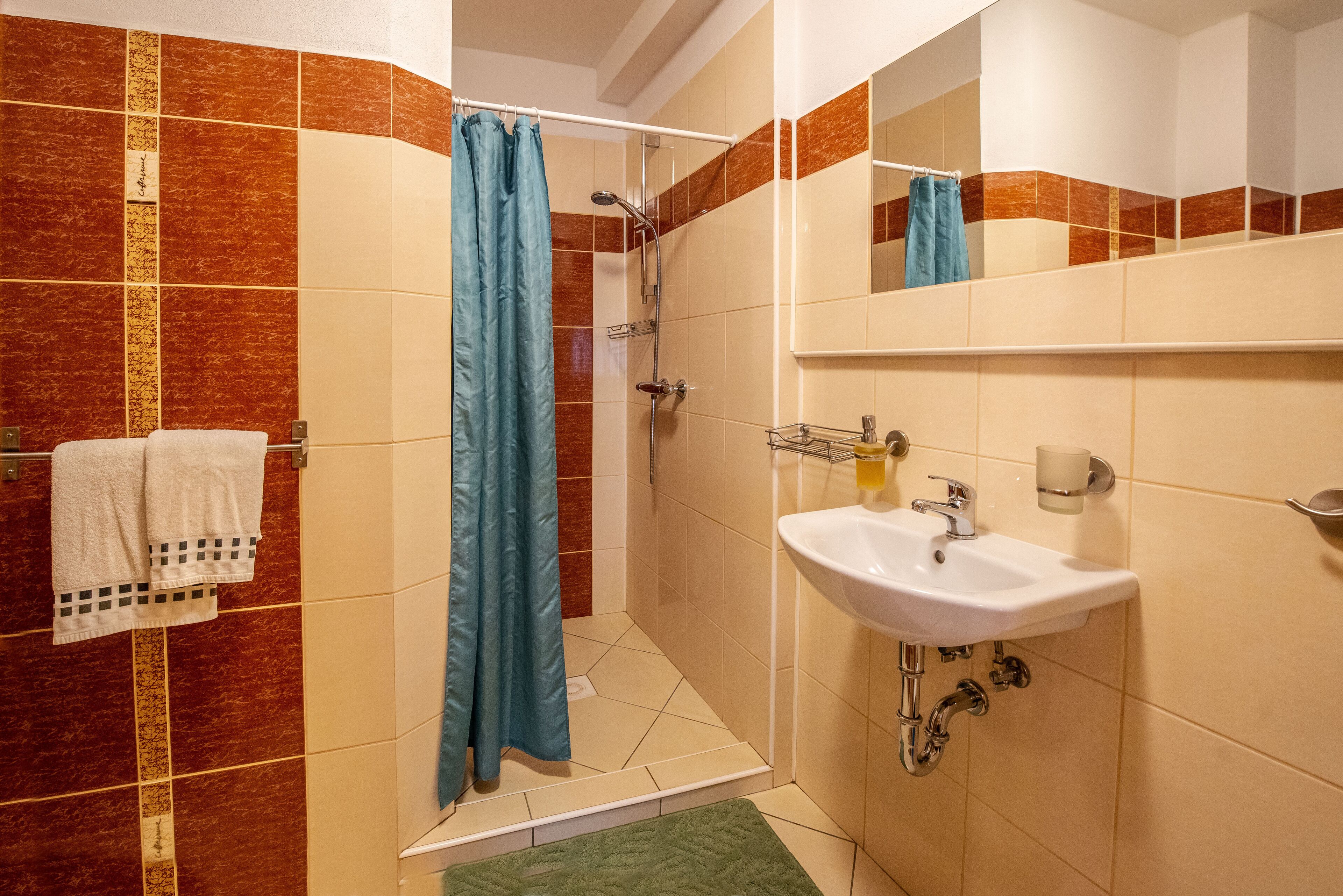 Une salle de bain avec une douche, un lavabo et un miroir.